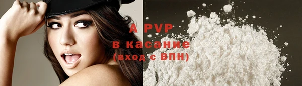 PSILOCYBIN Арсеньев